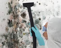 Professional Mold Removal in Whitney, TX